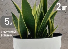 Как в цветочном магазине выбрать хорошие цветы?