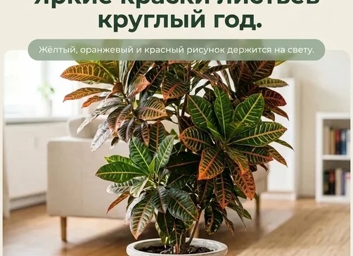 Красивый букет цветов — лучший акцент под любой образ! Согласны