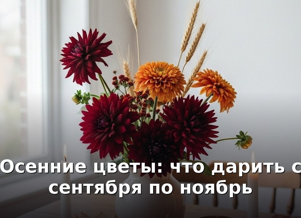 Почему нельзя дарить букет из 3 и 9 цветов: о чем говорят приметы