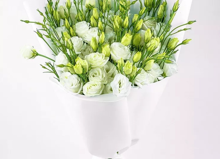 КАКИЕ ЦВЕТЫ САМЫЕ СТОЙКИЕ И КАК ПРОДЛИТЬ ЖИЗНЬ БУКЕТА. СОВЕТЫ TON AMOUR
