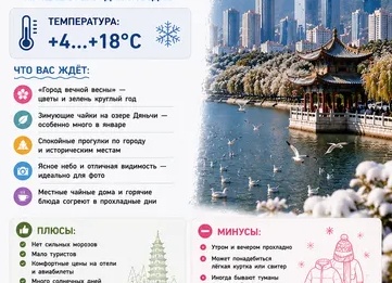 ТОП-10 стойких цветов для дома