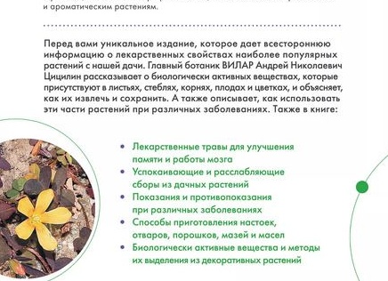 Садовые цветы, которые наиболее пригодны для срезки и создания букета