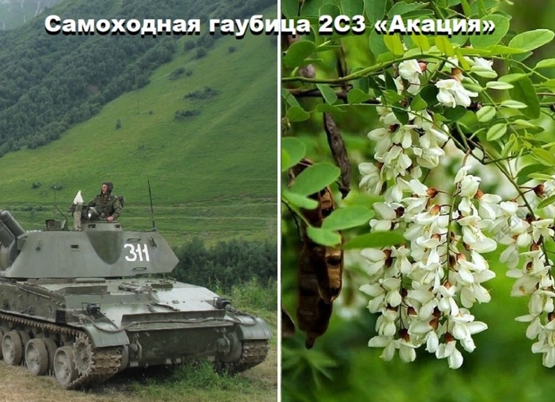 «Букет» защитников Родины: список военной техники, названной в честь цветов