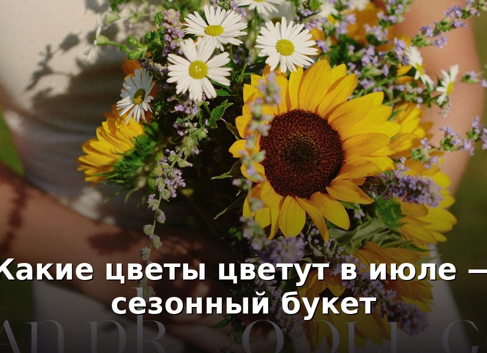Выбор цветов для июльского букета: избегаем ошибок и дарим радость