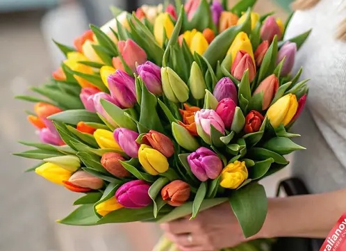 Семь цветов радуги в весенних букетах